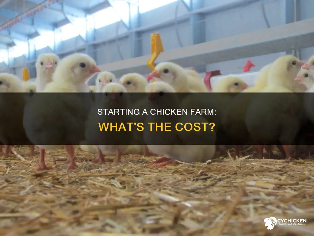 what does it cost to start a chicken farm
