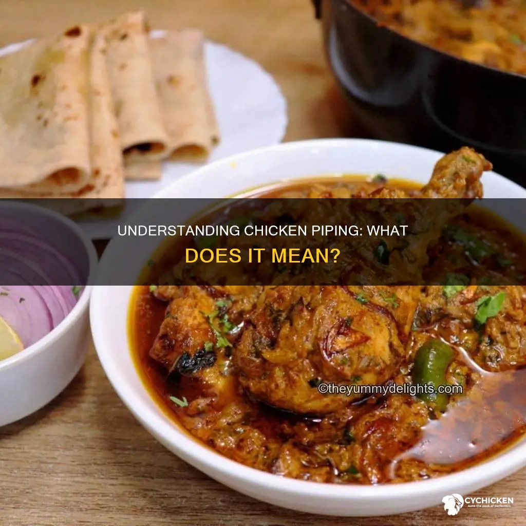 what does it mean a chicken when it is piping