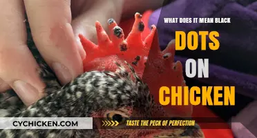 Understanding Black Dots on Chicken: Causes, Safety, and Culinary Insights
