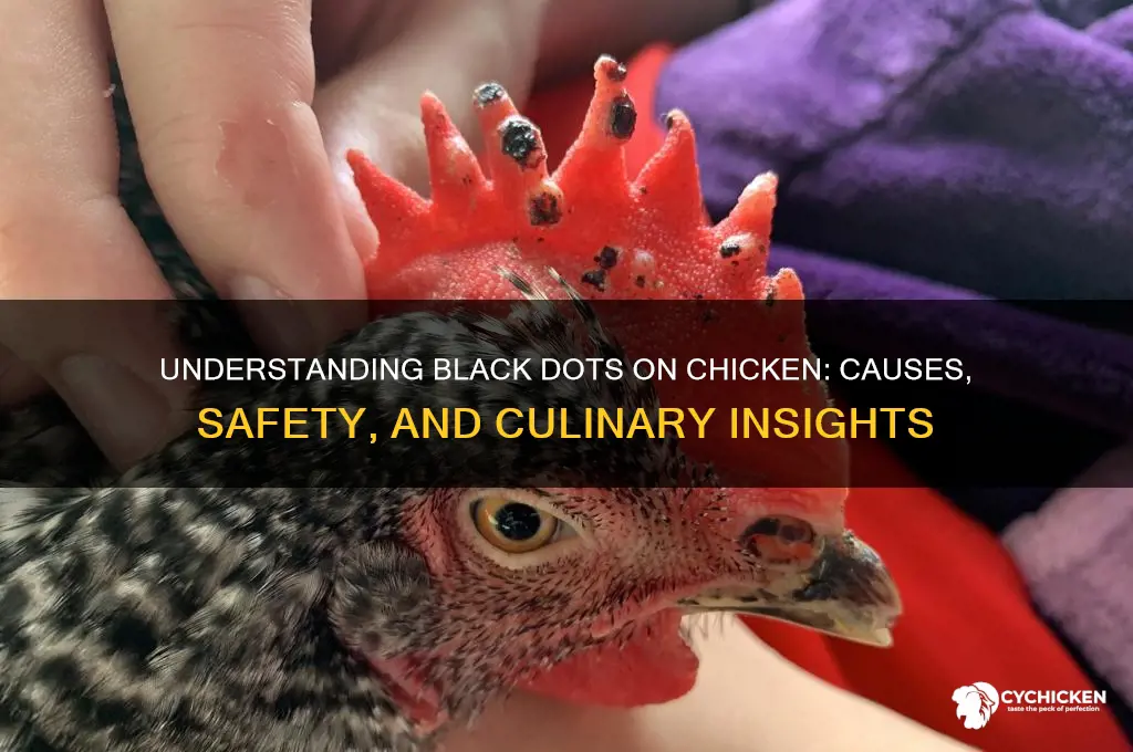 what does it mean black dots on chicken