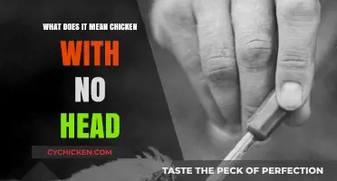 Understanding the Myth: What Does 'Chicken with No Head' Mean?