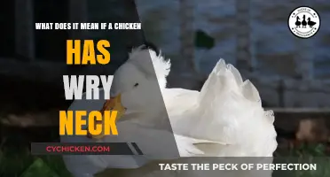 Understanding Wry Neck in Chickens: Causes and Treatment