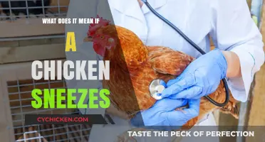 Why Chickens Sneeze: Understanding Causes, Concerns, and Care Tips