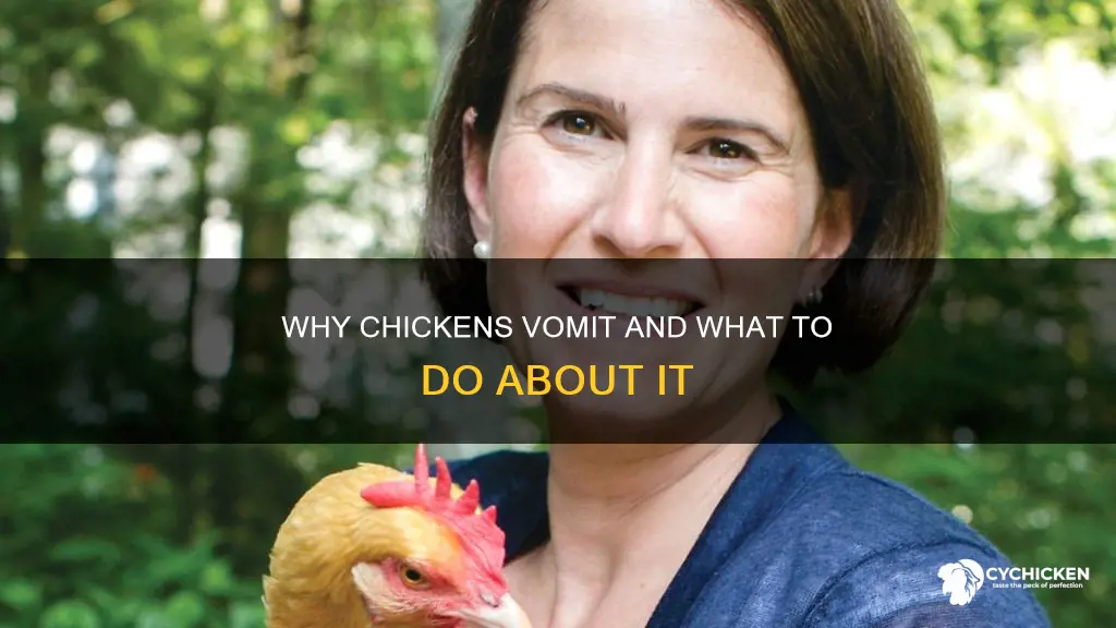 what does it mean if a chicken throws up