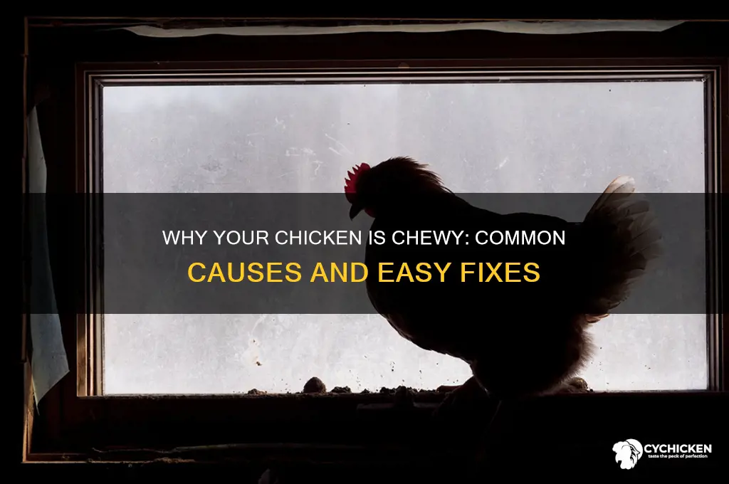 what does it mean if chicken is chewy
