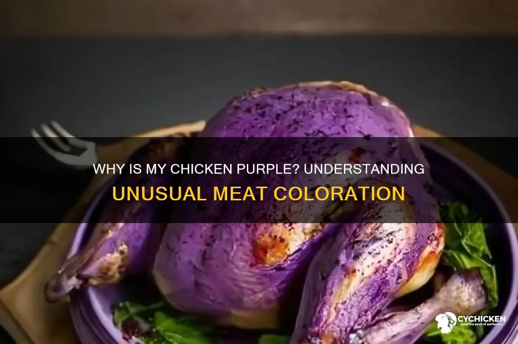 what does it mean if chicken is purple
