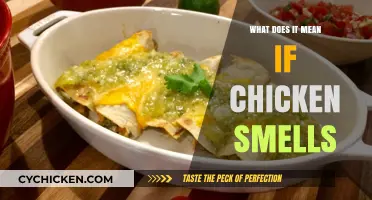 Why Does My Chicken Smell? Understanding Freshness and Safety Signs