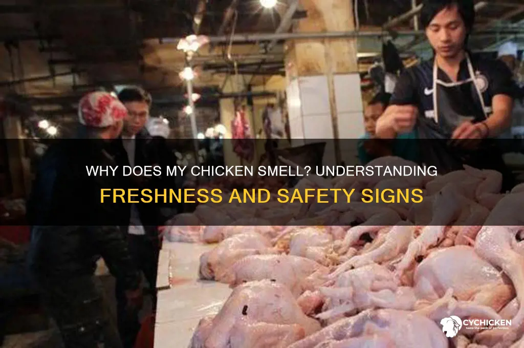 what does it mean if chicken smells