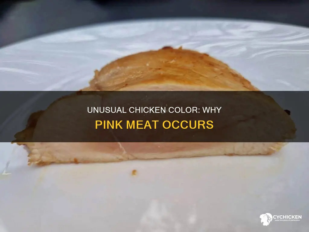 what does it mean if i have pink chicken