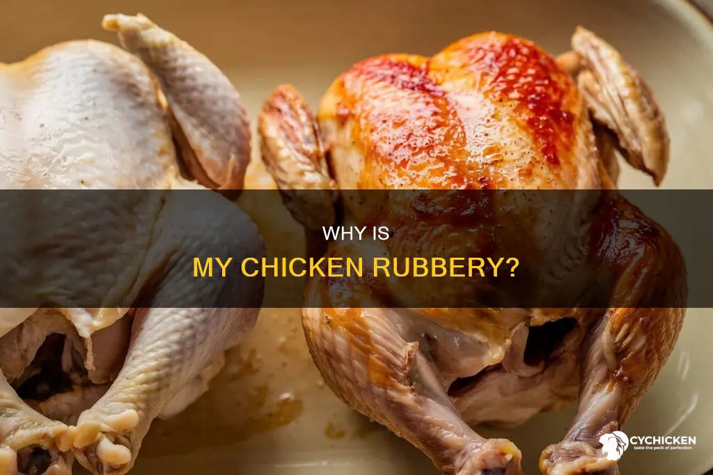 what does it mean if my chicken is rubbery