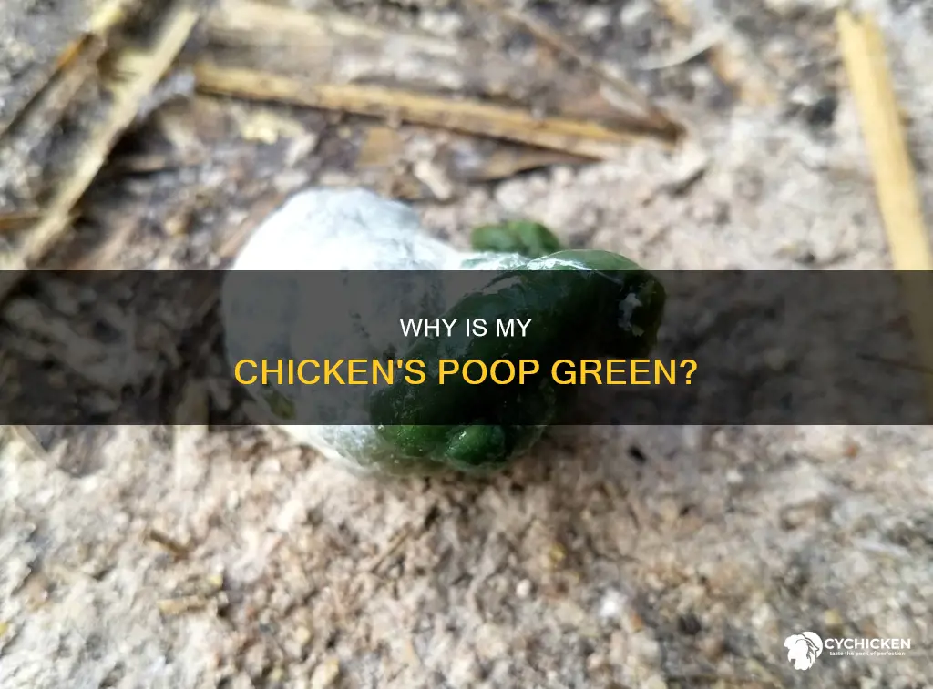 what does it mean if my chicken