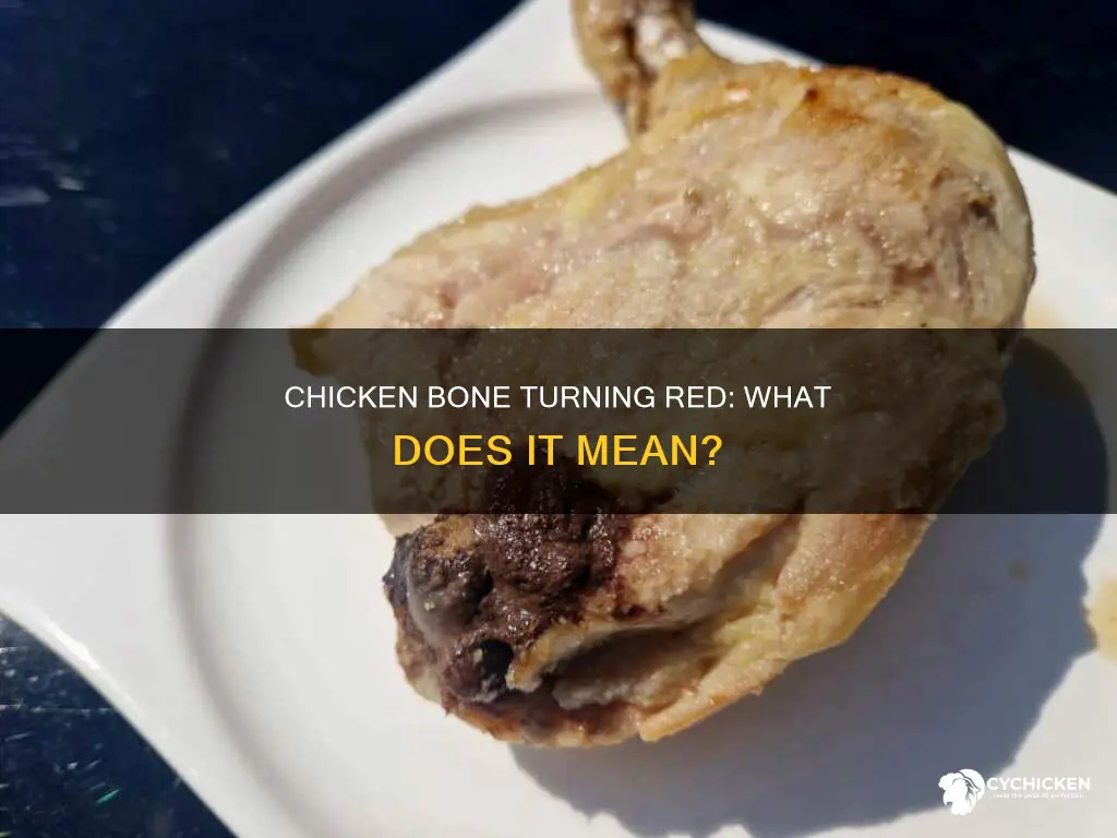 what does it mean if the chicken bone is red