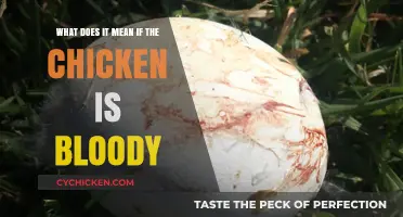 Chicken Blood: What Does It Mean?