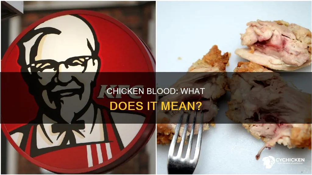 what does it mean if the chicken is bloody