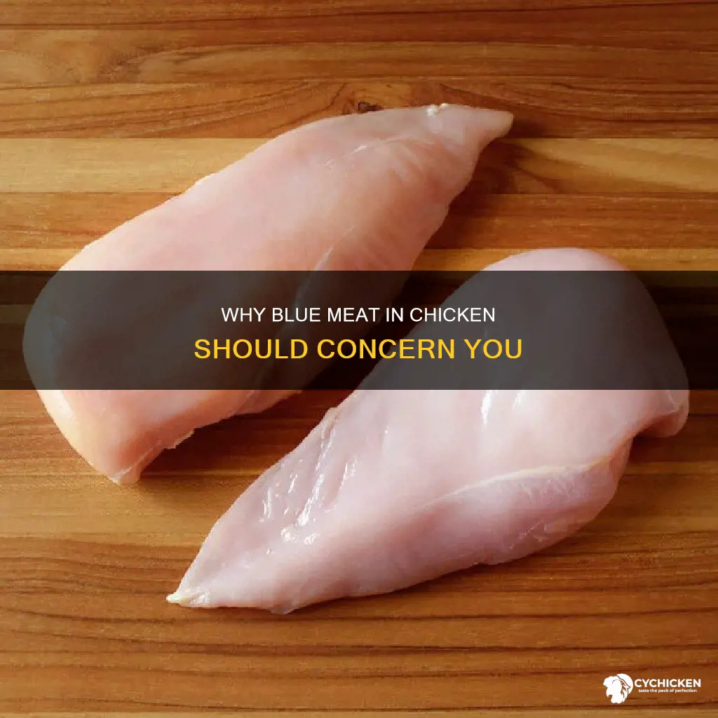 what does it mean if there is blue in chicken