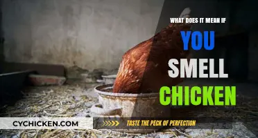 Why You Smell Chicken: Causes, Concerns, and When to Seek Help