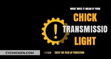Understanding Your Chick's Transmission Light