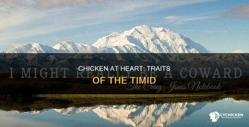 what does it mean to be a chicken at heart