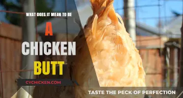 Chicken Butt: What Does It Really Mean?