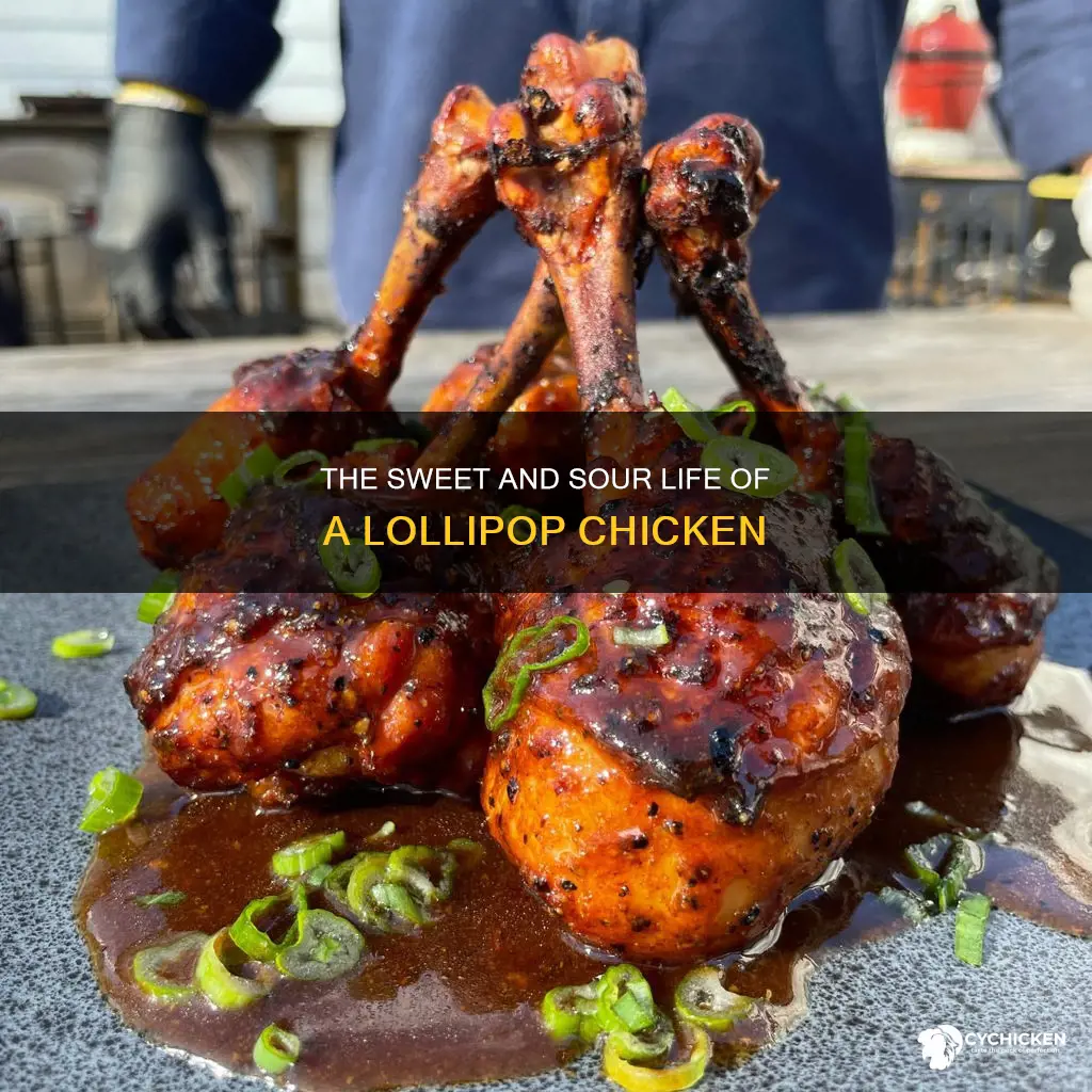 what does it mean to be a lollipop chicken