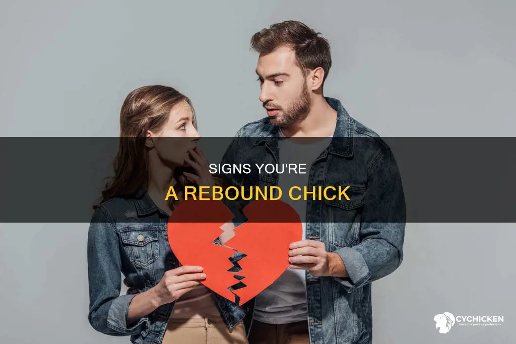 what does it mean to be a rebound chick