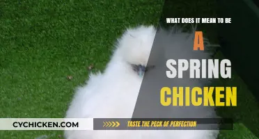 Spring Chickens: Youthful Energy and Its Perks