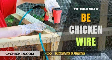 Understanding Chicken Wire: Uses, Benefits, and Creative Applications Explained