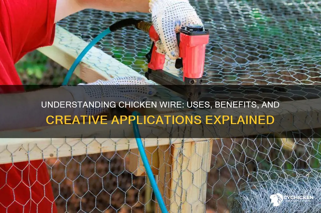 what does it mean to be chicken wire