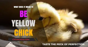 Unveiling the Symbolism: What Does It Mean to Be a Yellow Chick?