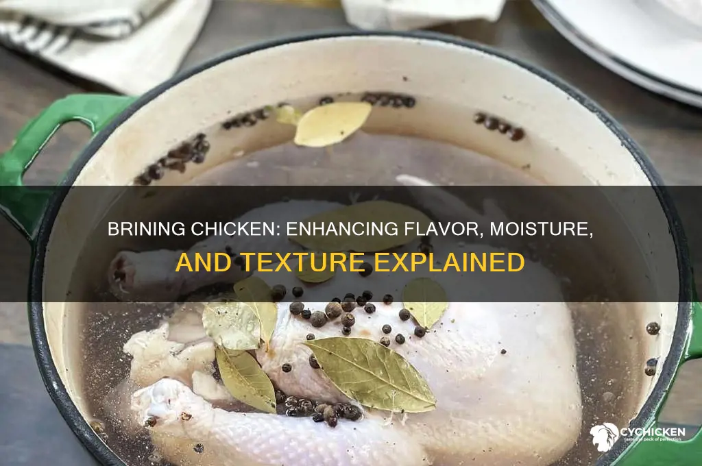 what does it mean to brine a chicken