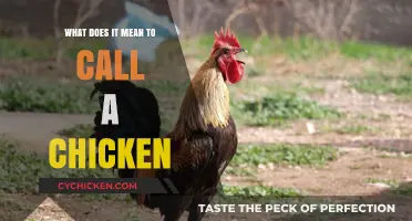 Understanding the Meaning Behind Calling a Chicken: A Comprehensive Guide