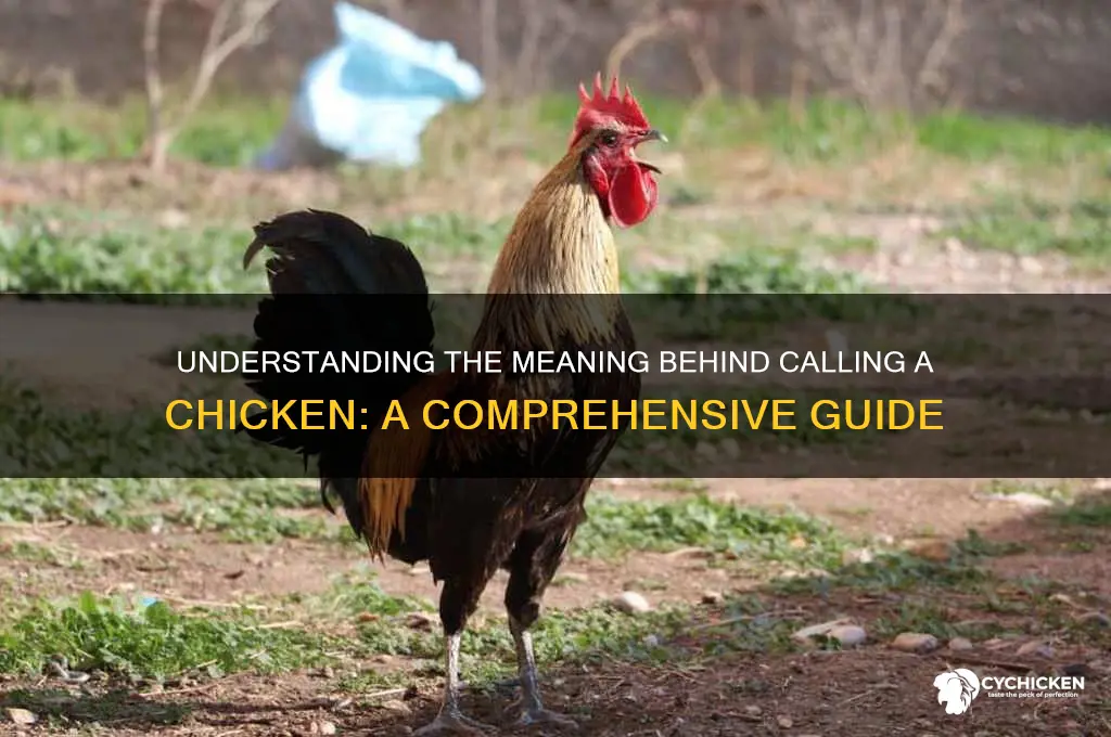 what does it mean to call a chicken
