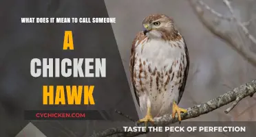 The Foul Truth About "Chicken Hawk" Slang