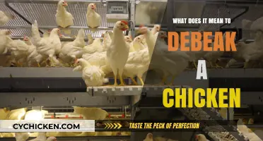 Understanding Debeaking: What It Means for Chickens and Why It's Done