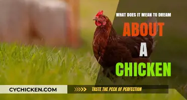 Why Do Chickens Appear in Dreams?