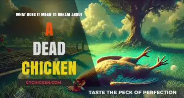 Interpreting Dreams: Dead Chickens and Their Meanings