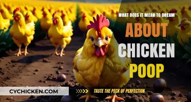 Chicken Poop Dreams: What Do They Mean?