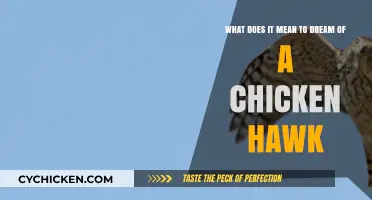 Chicken Hawk Dreams: Uncovering Their Symbolic Meanings