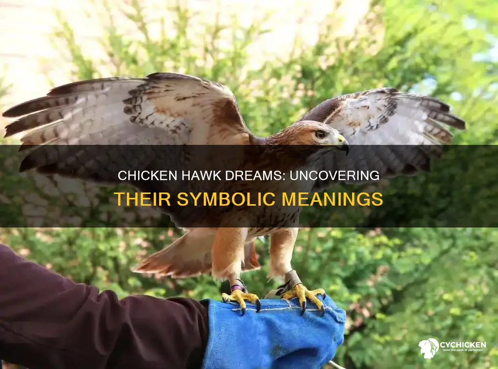 what does it mean to dream of a chicken hawk