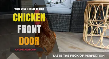 Unlocking the Mystery of Chicken Front Doors