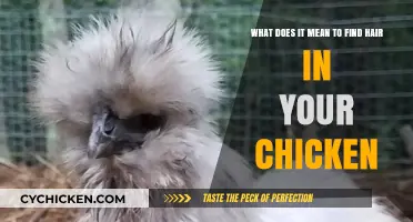 Chicken Hair: What it Means and Why it Matters