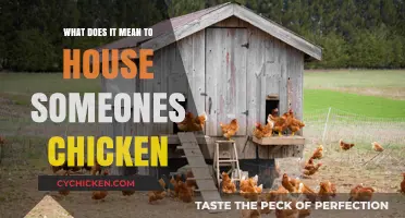 Housing Someone's Chicken: Unraveling the Meaning and Implications