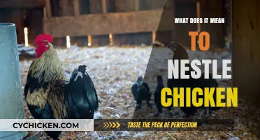 Understanding Nestling Chicken Behavior: A Guide to What It Means
