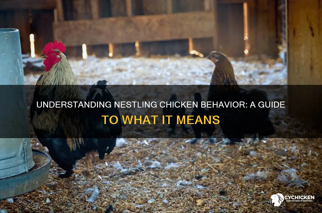 what does it mean to nestle chicken