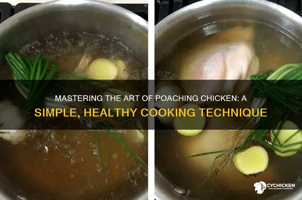 what does it mean to poach a chicken