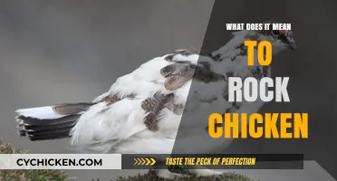Rock Chicken Explained: Unraveling the Meaning Behind the Quirky Phrase