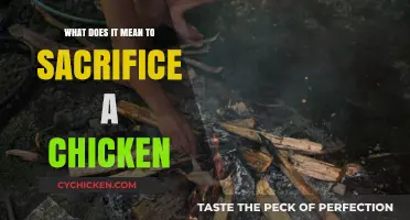 Understanding the Cultural and Spiritual Meaning of Sacrificing a Chicken