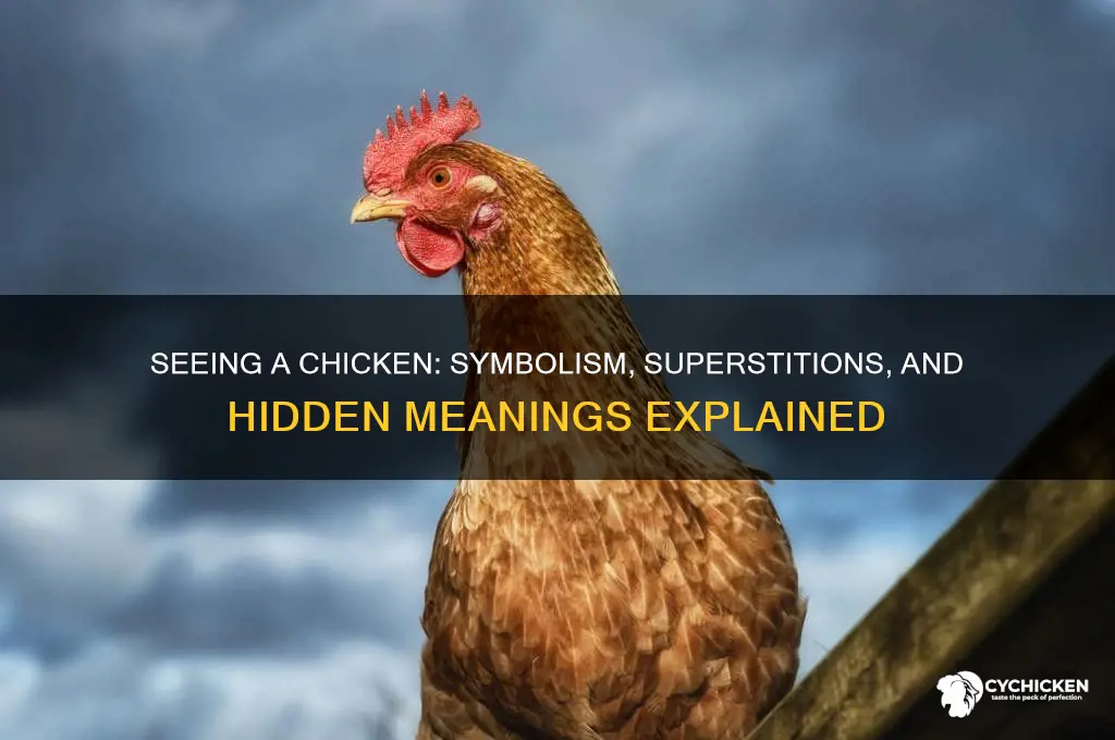 what does it mean to see a chicken