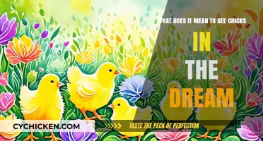 Dreaming of Chicks: What Does it Mean?