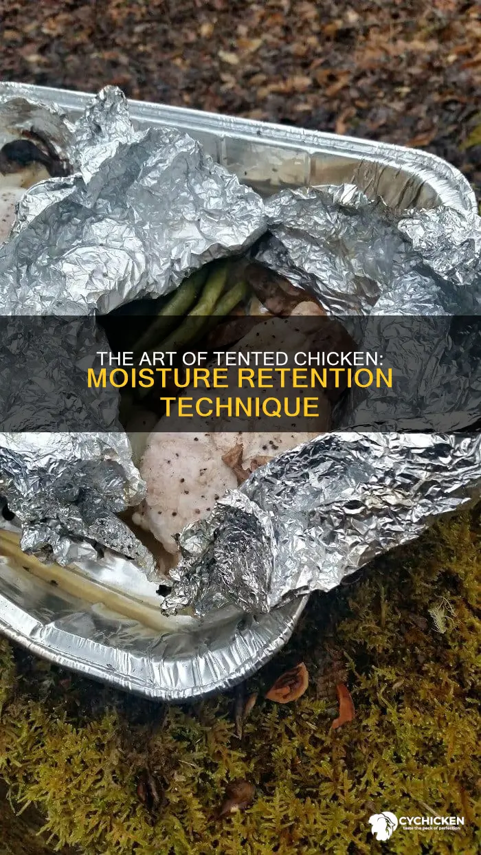 what does it mean to tent chicken with foil